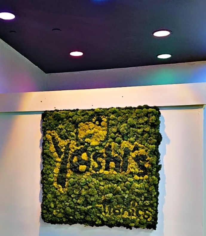 Preserved moss artwork with green and gold texture