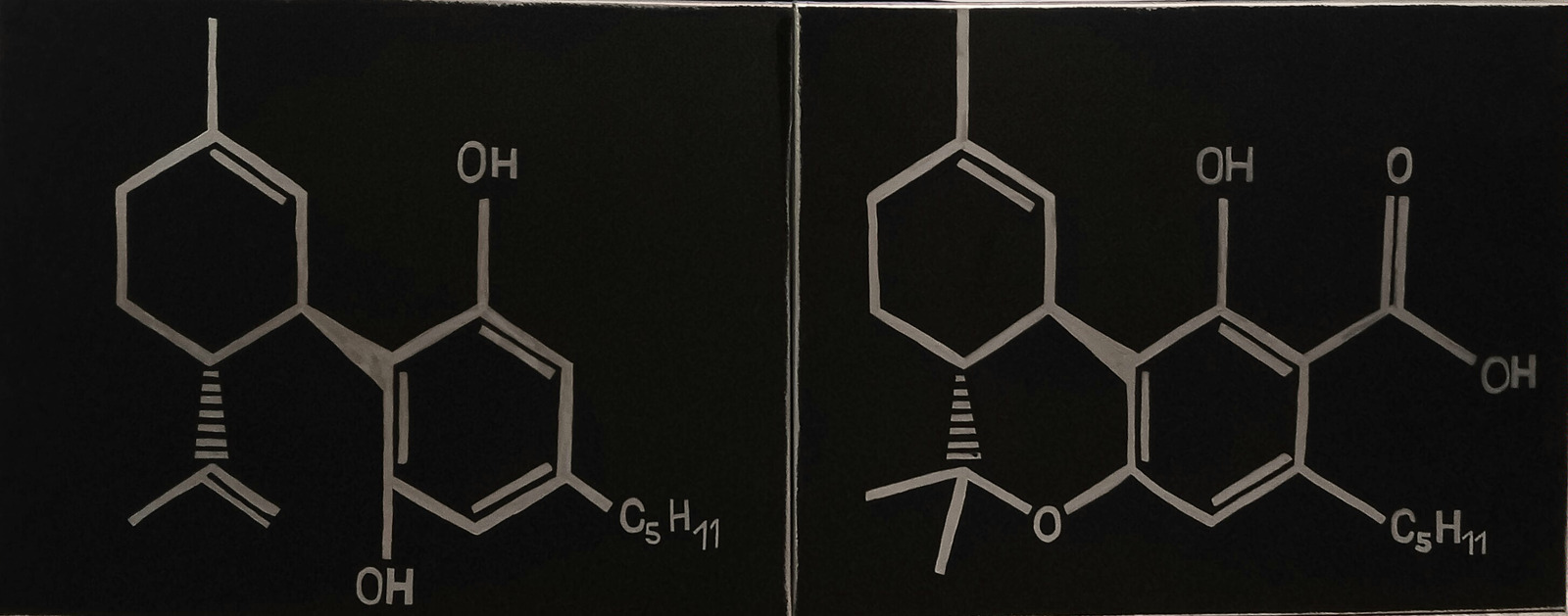 The chemical structures of THC-A and CBD painted in white on two black panels