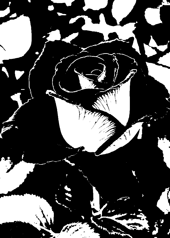 A rose rendered in bold black-and-white threshold shapes